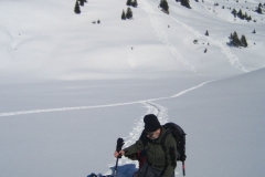 080203134807_BP_0014