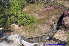 090415090001_IX5_6831