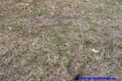 090418142313_IX5_6890