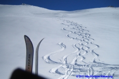 2011.03.06_IMG_0024_bp