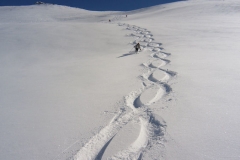 2011.03.06_IMG_3124_gm
