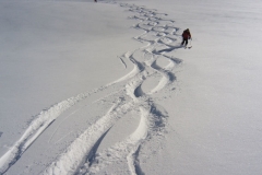 2011.03.06_IMG_3125_gm