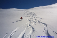 2011.03.06_IMG_3126_gm