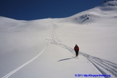 2011.03.06_IMG_3132_gm
