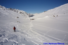 2011.03.06_IMG_3134_gm