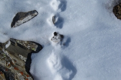 2011.03.08_IMG_3185_gm